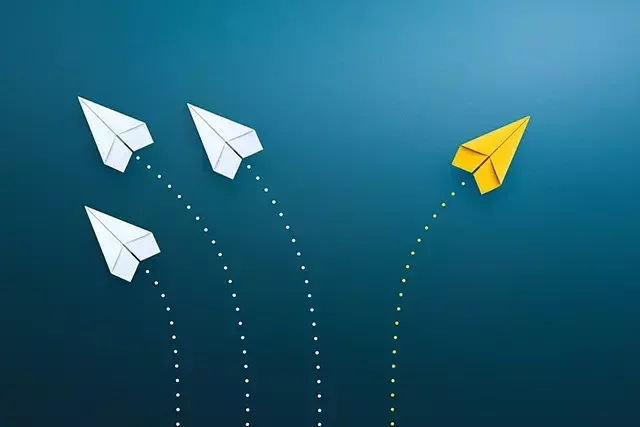 Diferenciarse para crecer